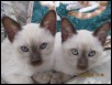 2009 GEM & MIRA Who's who!